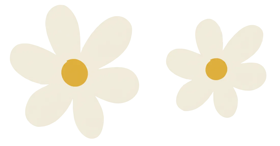 Two white daisy earrings with yellow centers on a white background